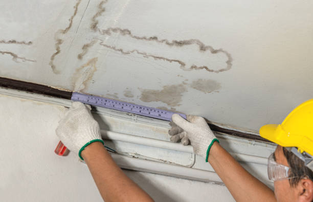 Reliable Water Damage contractor in Ho-Ho-Kus, NJ by Water Damage Irwin